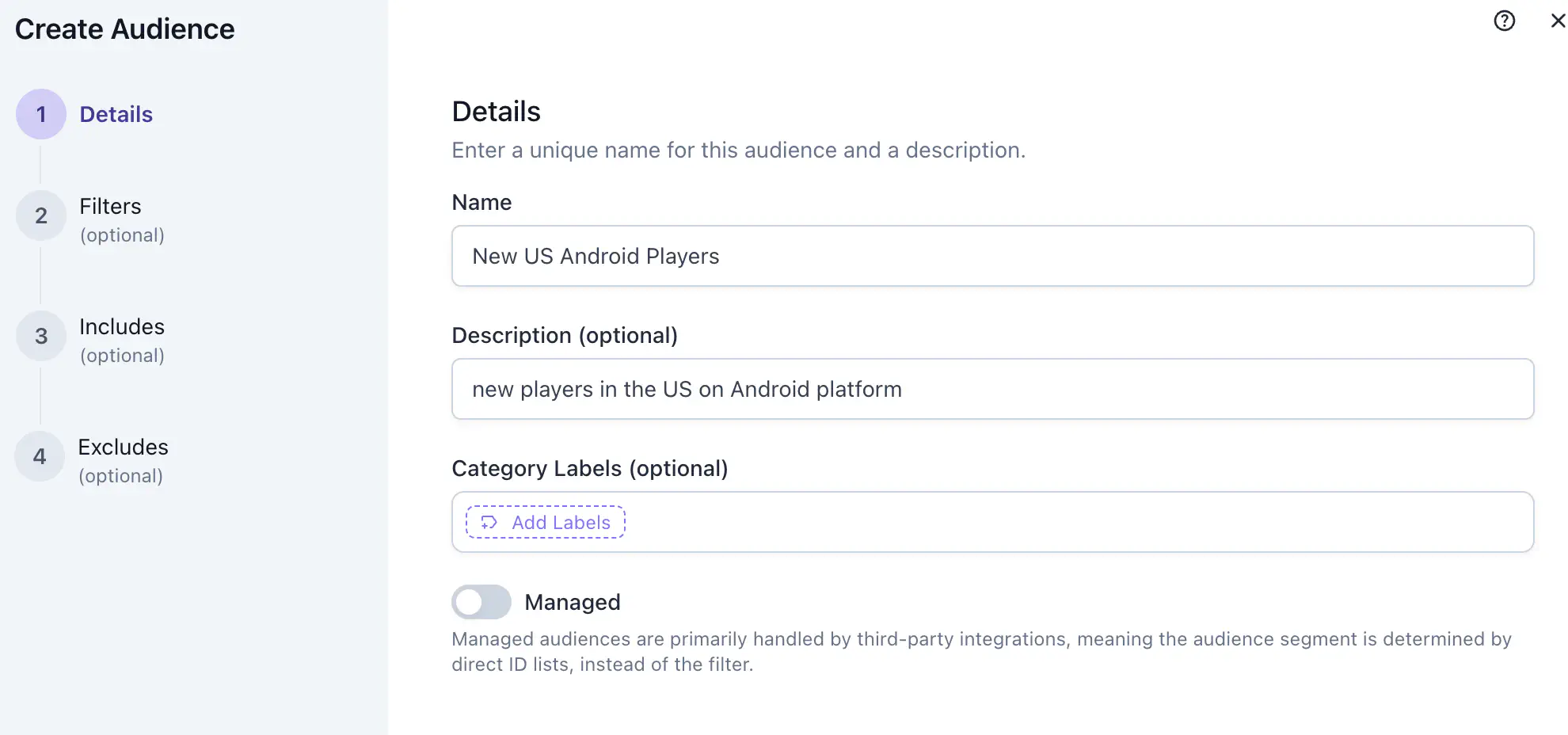 Create Audience panel showing Name, Description, Audience Filters with form view toggle, Includes and Excludes fields