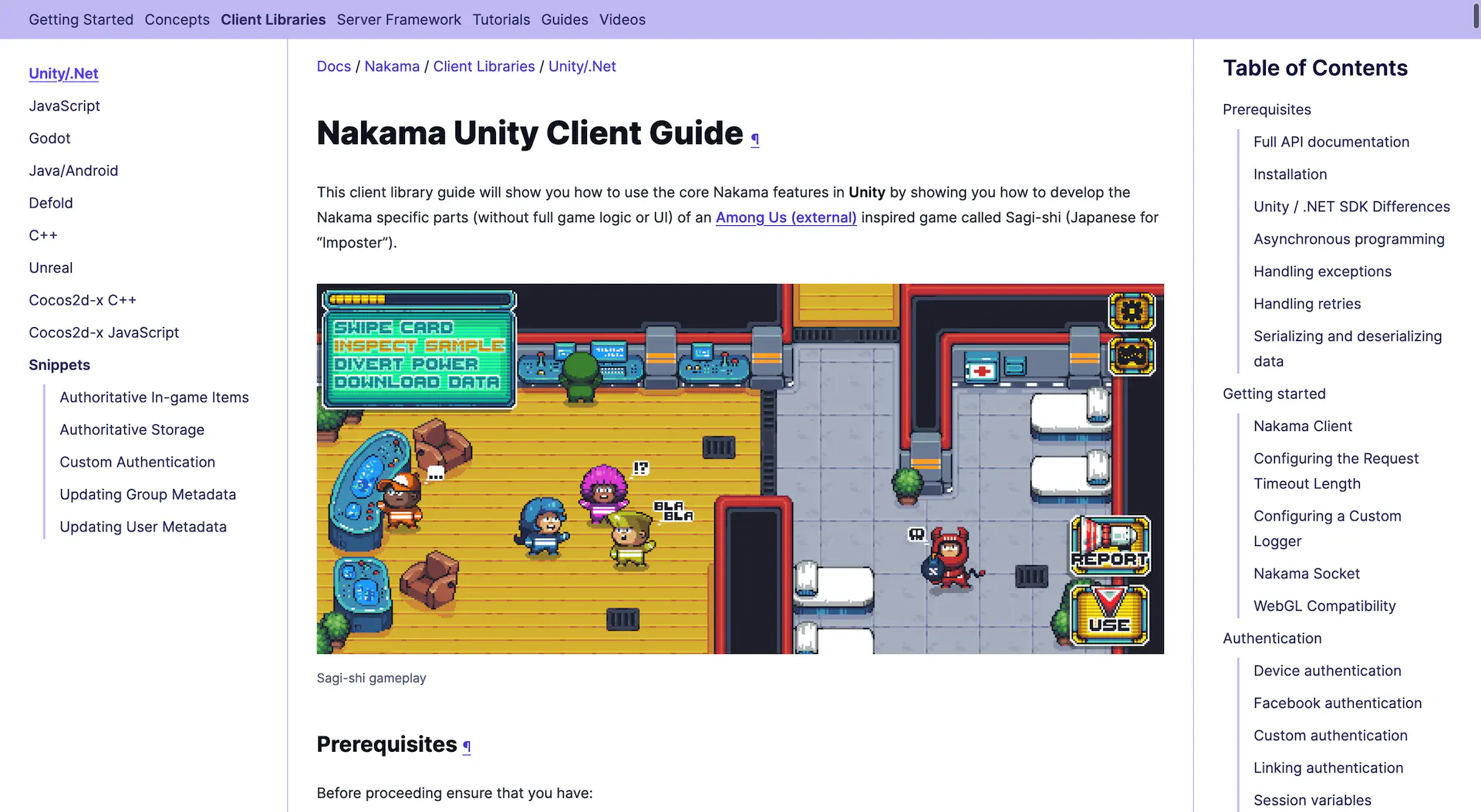 Unity Client Guide